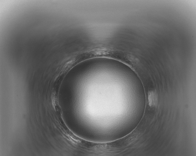 X0000062641444200512231028