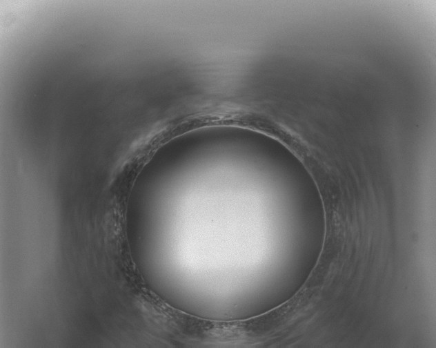 X0000062641447200512231028