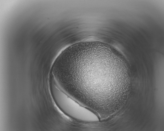 X0000062641476200512231027