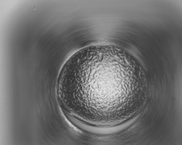 X0000062641484200512231027