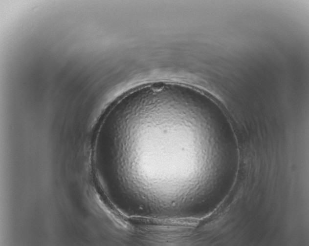 X0000062641507200512231026