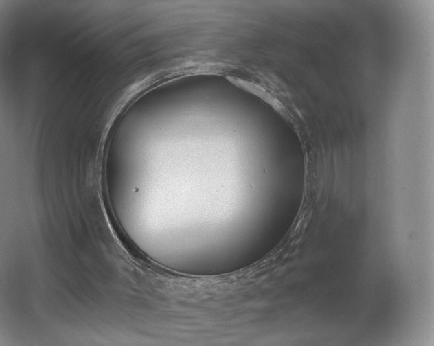 X0000062640003200512281633