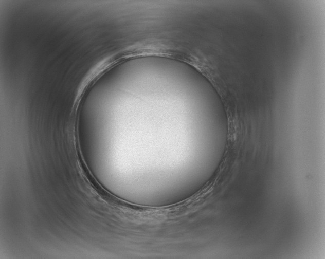 X0000062640004200512281633
