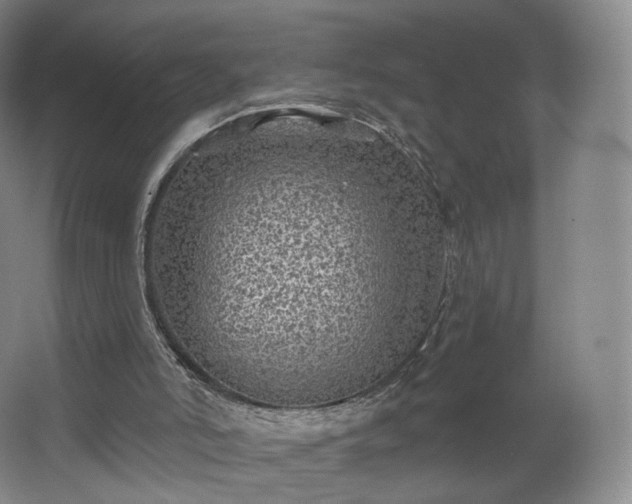 X0000062640006200512281633