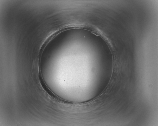 X0000062640011200512281633