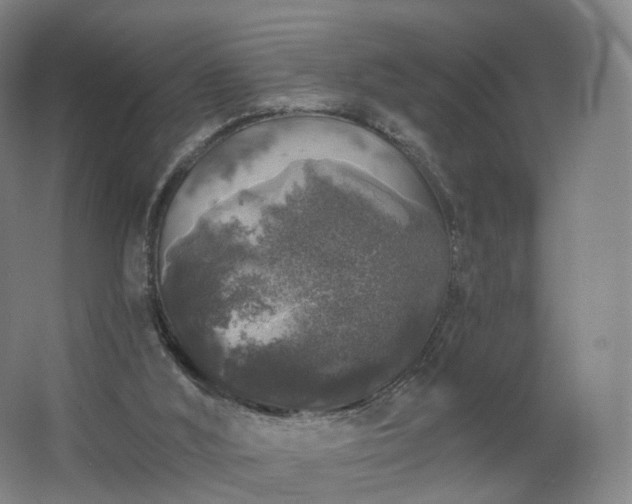 X0000062640012200512281633