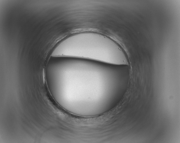 X0000062640013200512281633