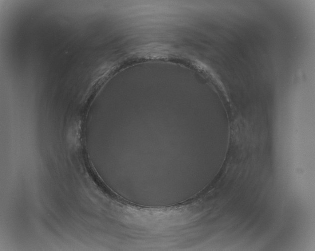 X0000062640018200512281633