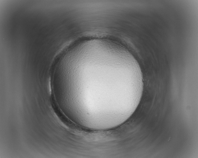X0000062640020200512281633
