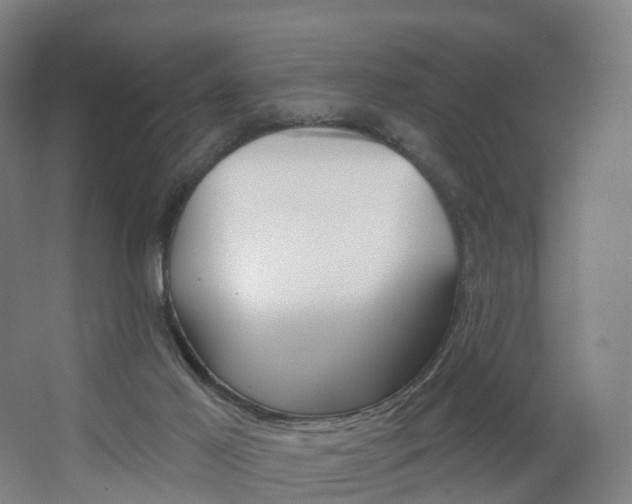 X0000062640021200512281633