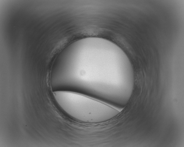 X0000062640023200512281633