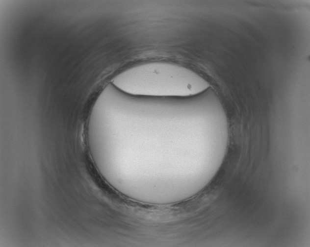 X0000062640024200512281633