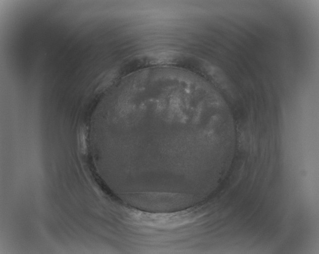 X0000062640026200512281633