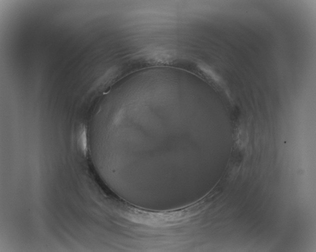 X0000062640027200512281633