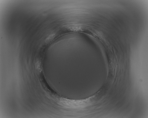 X0000062640031200512281633