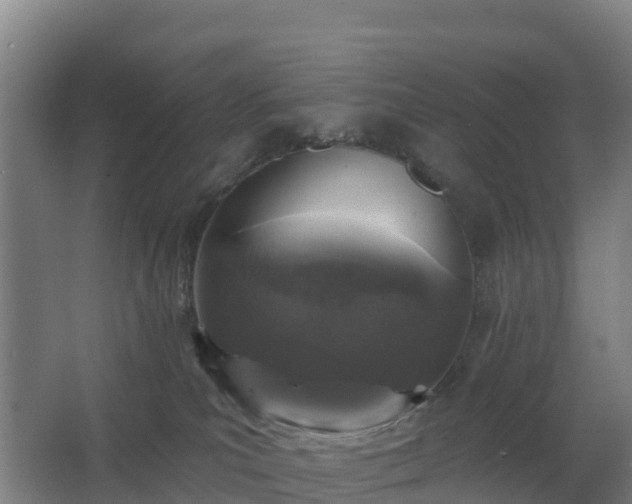 X0000062640039200512281633