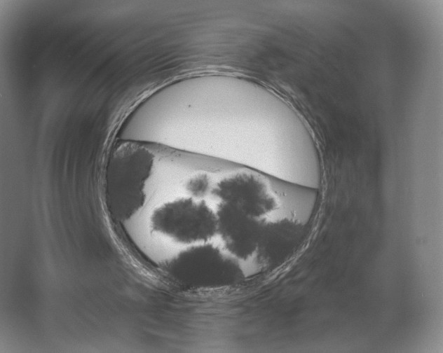 X0000062640049200512281632