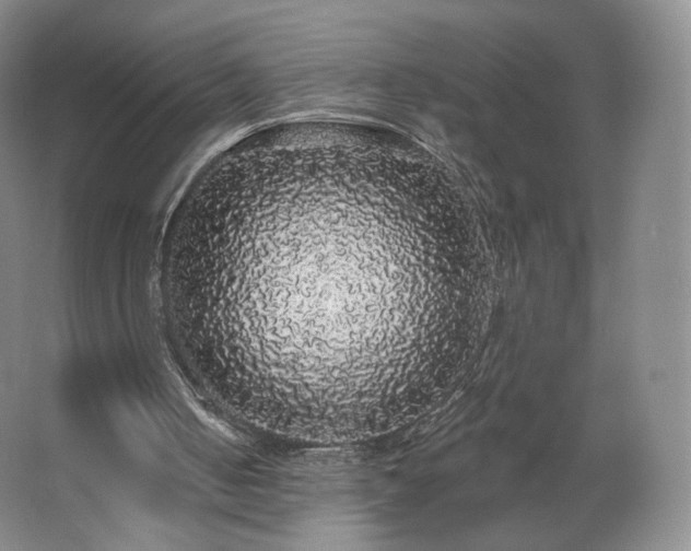 X0000062640050200512281632