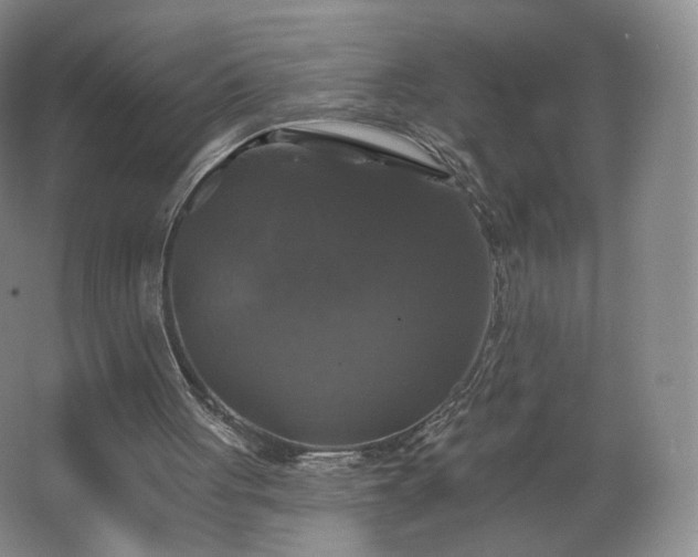 X0000062640051200512281632