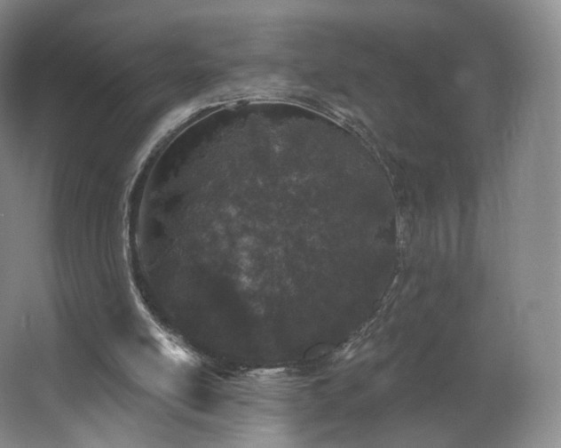 X0000062640054200512281632