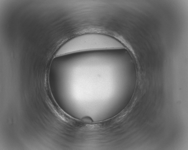 X0000062640057200512281632