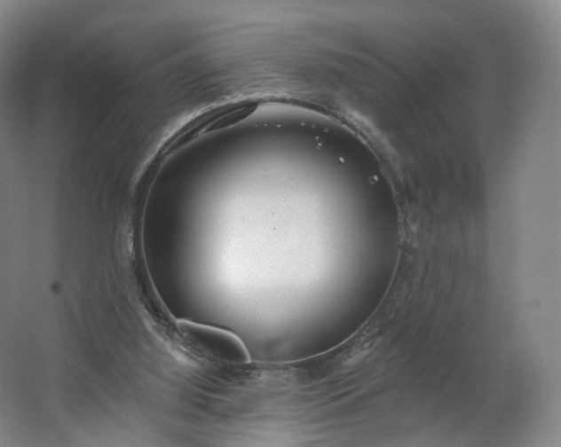 X0000062640060200512281632