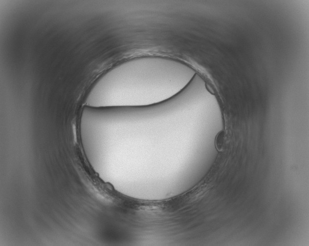 X0000062640061200512281632