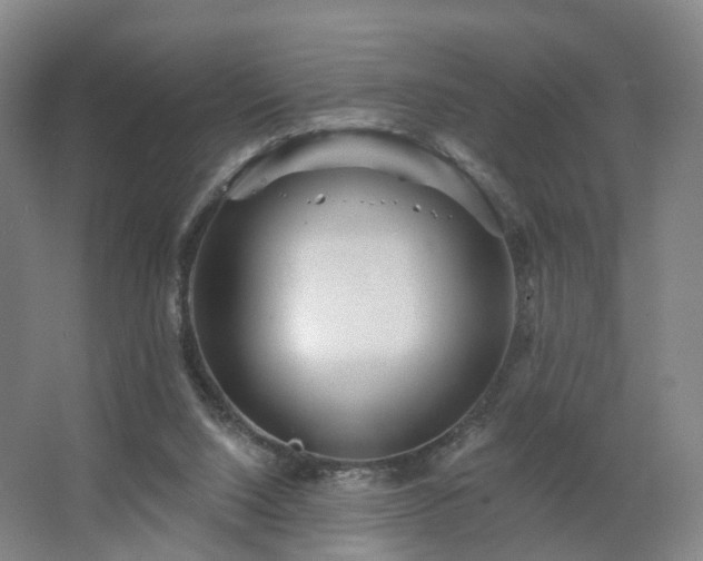 X0000062640064200512281632