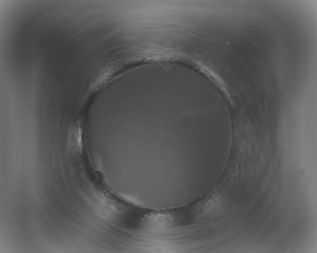 X0000062640067200512281632