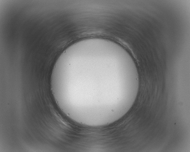 X0000062640069200512281632