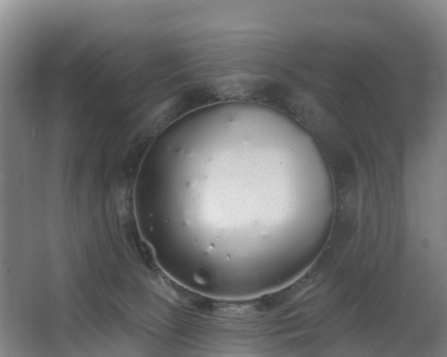 X0000062640081200512281632