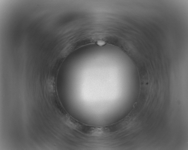 X0000062640083200512281632