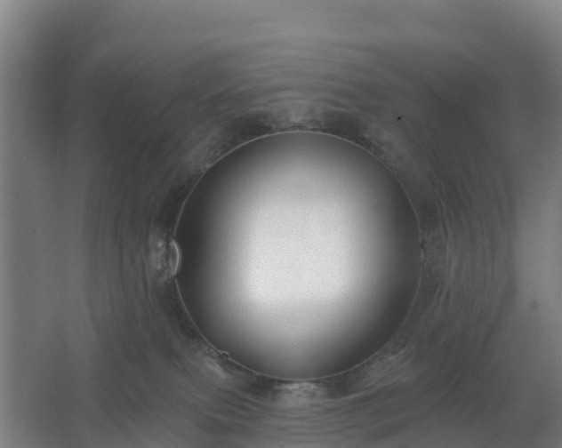 X0000062640087200512281632