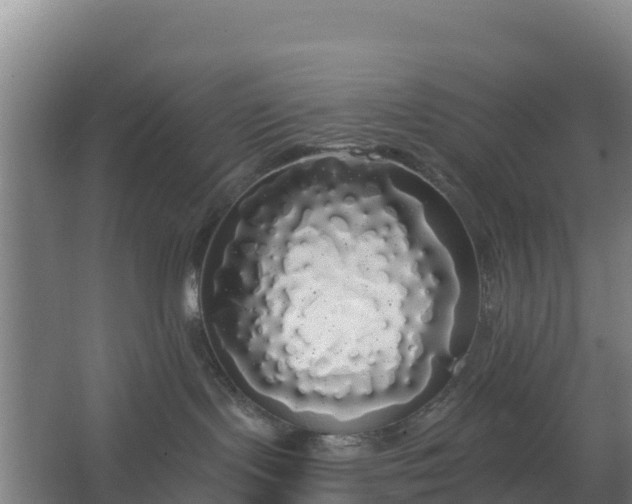 X0000062640095200512281632