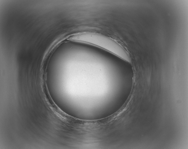 X0000062640101200512281631