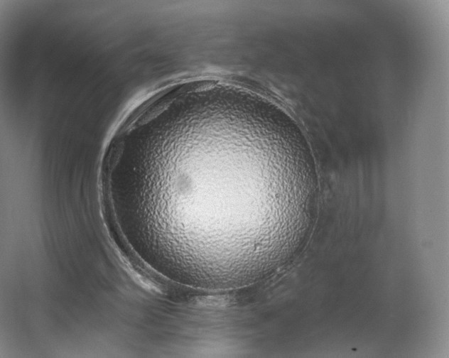 X0000062640102200512281631