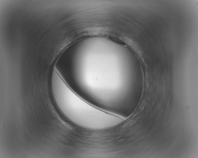 X0000062640105200512281631