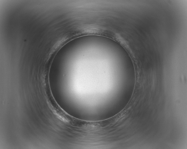 X0000062640106200512281631