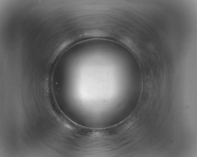 X0000062640111200512281631