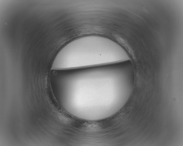 X0000062640113200512281631