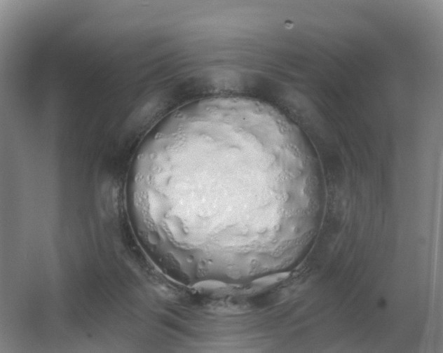 X0000062640123200512281631