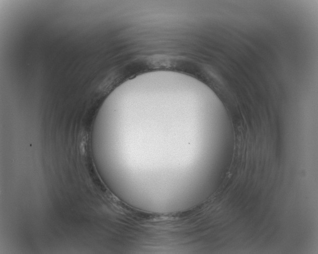 X0000062640125200512281631