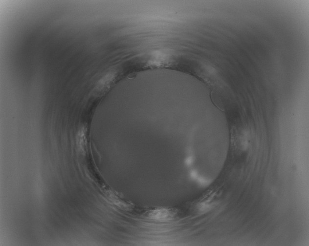 X0000062640127200512281631