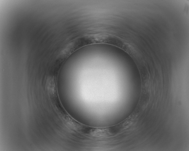 X0000062640129200512281631