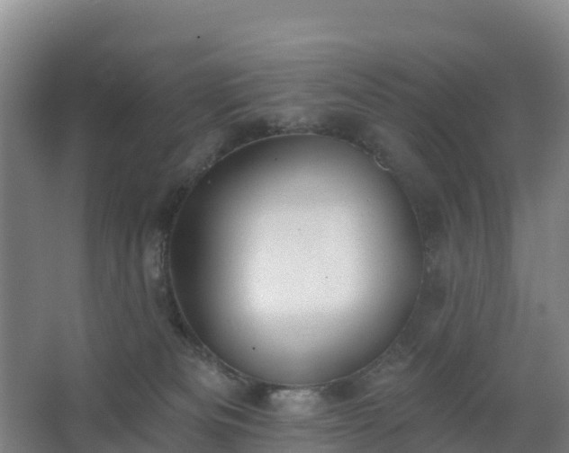 X0000062640133200512281631