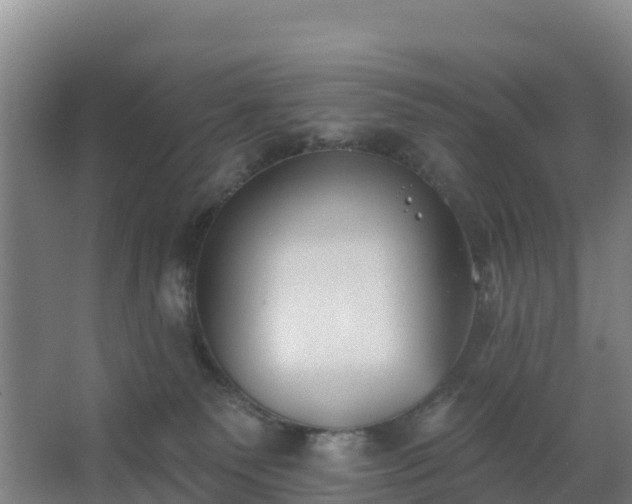 X0000062640135200512281631