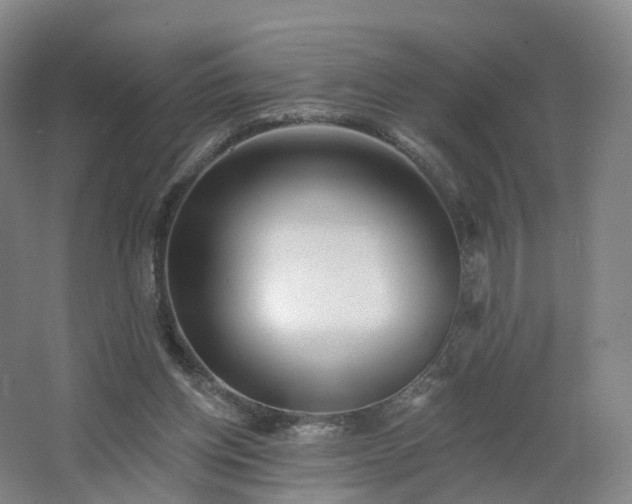 X0000062640158200512281630