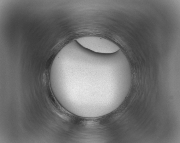X0000062640165200512281630
