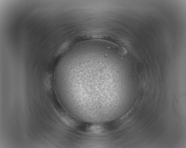 X0000062640171200512281630