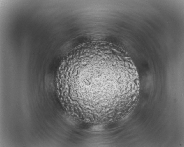 X0000062640178200512281631
